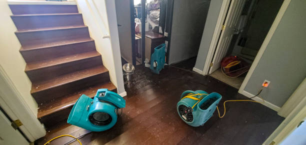 Best 24-hour water damage restoration  in Progreso, TX
