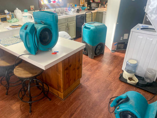Best Fire Damage Restoration  in Progreso, TX