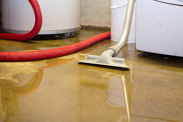Best Water damage cleanup near me  in Progreso, TX