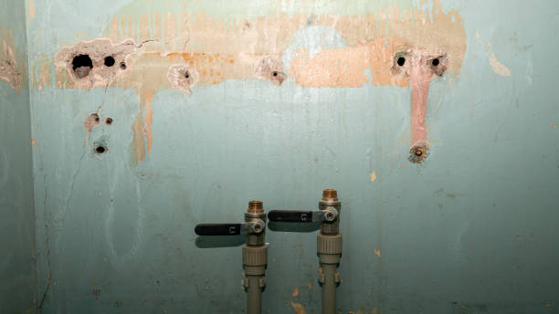 Carpet water damage restoration in Progreso, TX