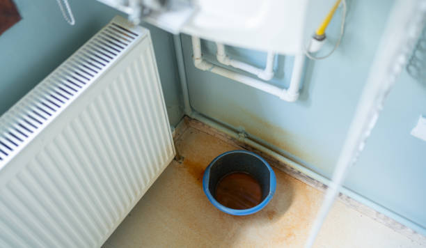 Best 24/7 water damage repair  in Progreso, TX